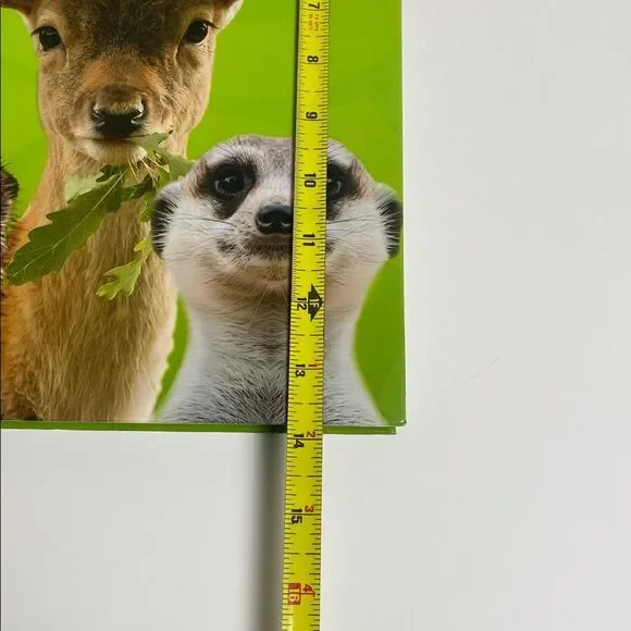 Master Books God's Big Book of Animals - Educational Book for Kids-Homeschool - Picture 15 of 16